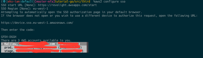 aws sso choose account